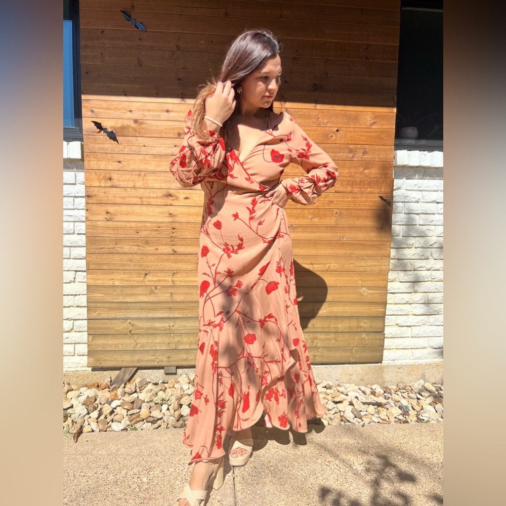 Johanna Ortiz H&M Maxi Dress